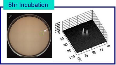 viable count,rapid,microbiological,test,detection,count,SPC,cfu,