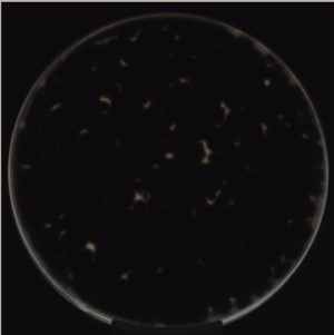 MicroBio PDA modified, last image