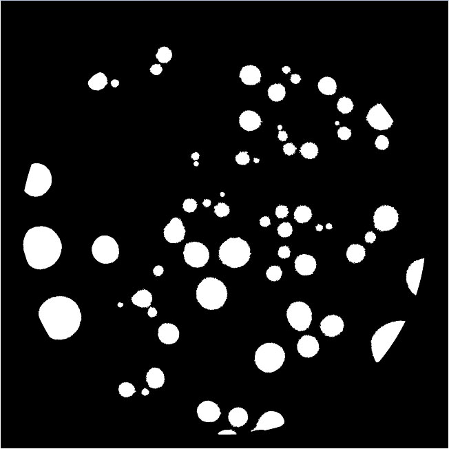 Count marker of Thermoanaerobacter mathranii