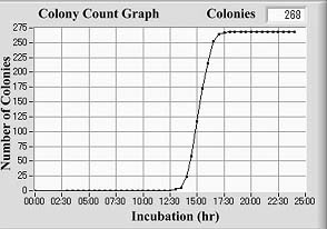 colony count graph of pour plate of C albicans