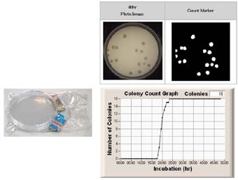 clostridium,.anerobe,automated,rapid,detection,