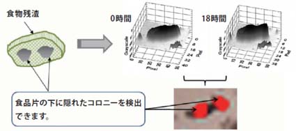 invisible,colony,detection,count,rapid,Standard Plate Count,viable count,cfu,