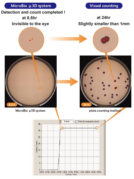 colony,counting,viable count,microorganism,rapid,detection,SPC,ral time,micro-colony,culture,media,cliform,salmonella,alicyclobacillus,anaerobe,aerobe,mold,filter method,