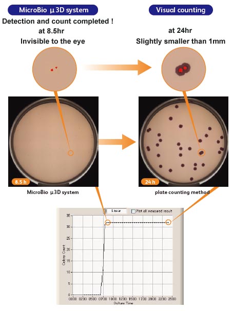 colony,counting,viable count,microorganism,rapid,detection,SPC,ral time,micro-colony,culture,media,cliform,salmonella,alicyclobacillus,anaerobe,aerobe,mold,filter method,