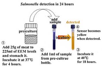 Salmonella screen