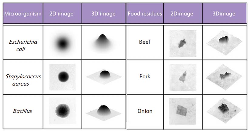 Eng_shadow_of_colony_and_food