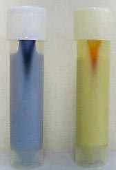 rapid coliform detection on 20ml of milk sample