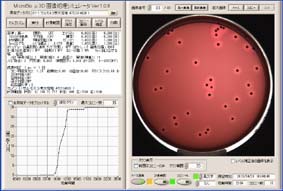 salmonella,detection,agar media,automated,rapid,