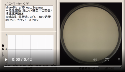 一般生菌数カウント　（生カット野菜中の菌数）