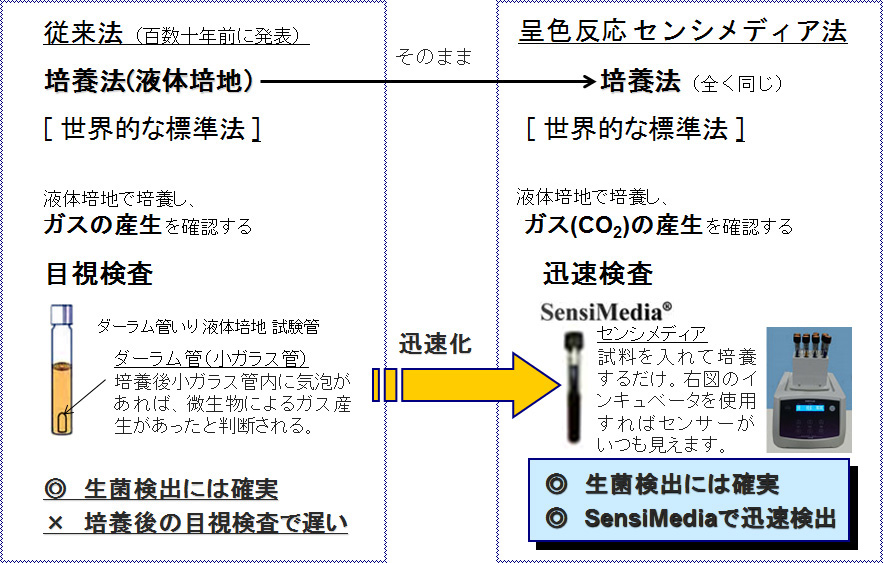 ダーラム菅からセンシメディアへ