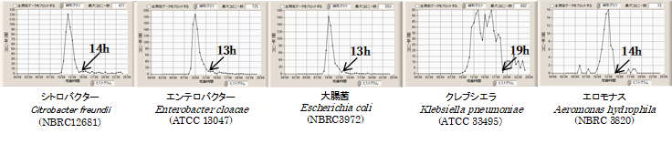大腸菌群 確実な陰性試験のためのヒストグラム確認