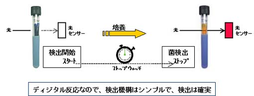 センシメディア　微生物　迅速検出　繁殖時間　計測