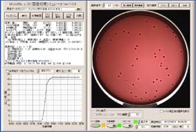 Salmonella entiritidis　検出グラフ