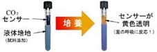 微生物 迅速 検査キット：試料を入れて、培養するだけです。（菌検出センサー付）