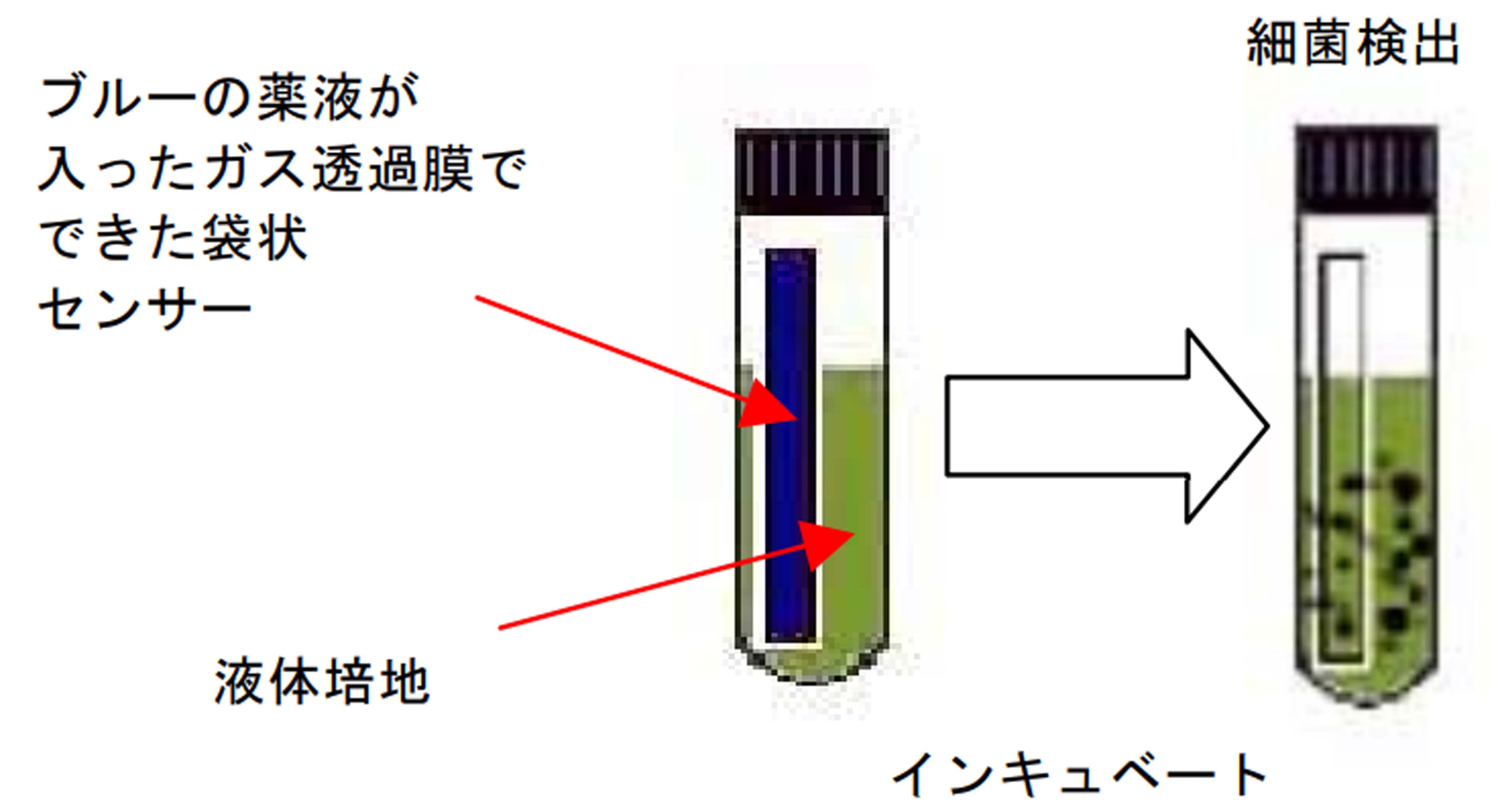 呈色反応方式　センシメディア