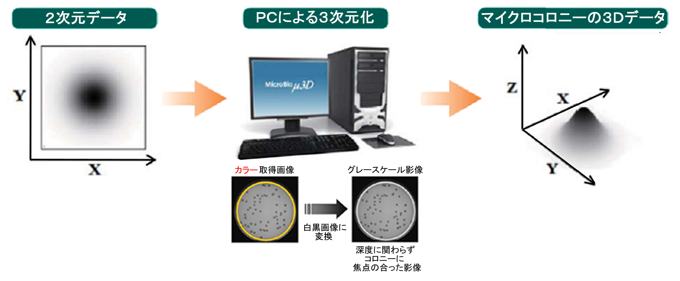 図５_2D影像の3Dデータへの変換