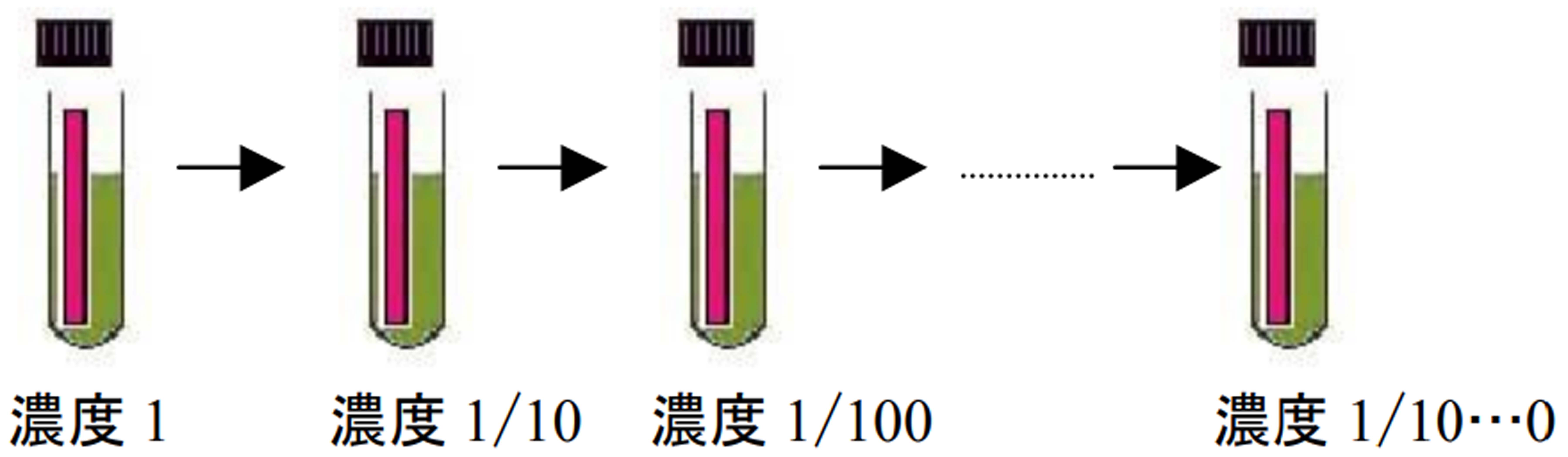 ダーラム菅からセンシメディアへ