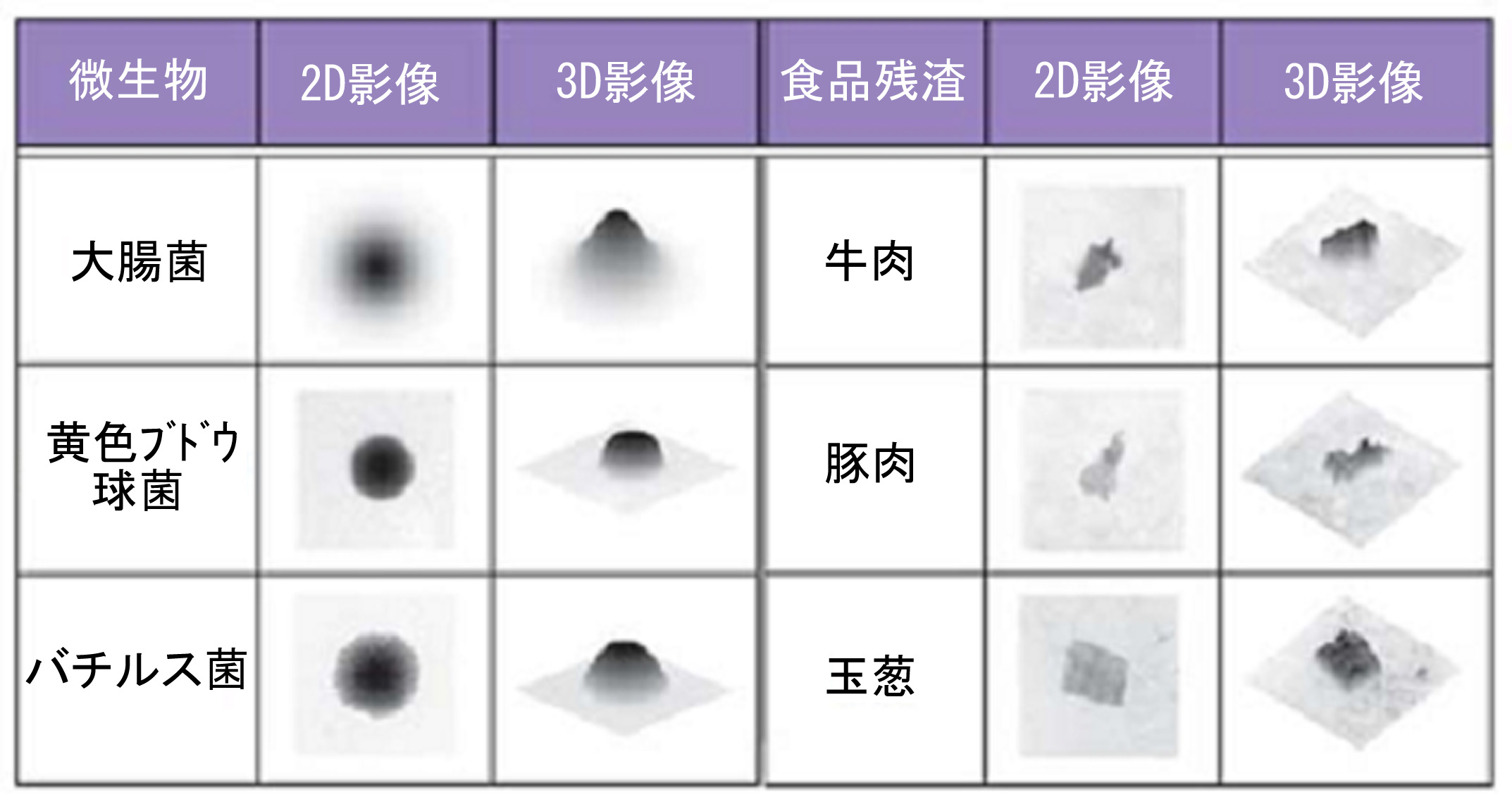 表１_MicroBio_μ3Dが取得した2D影像と3D影