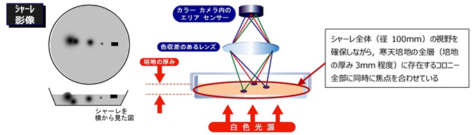 寒天培地中の全コロニーに焦点をあわせるμ3D 影像取得法
