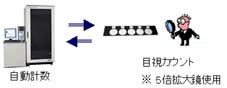 マイクロコロニー法（タイムラプス影像解析法に基づく）と目視検査との相関